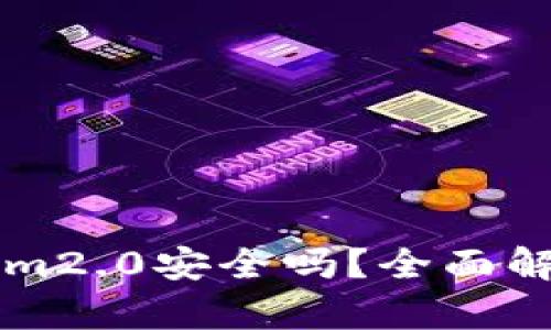 资金藏Tokenim2.0安全吗？全面解读与风险分析