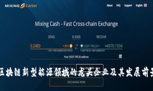 区块链新型能源领域的龙头企业及其发展前景