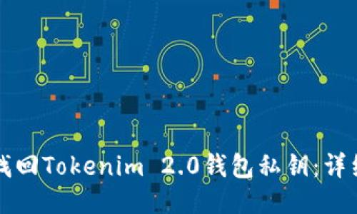 如何找回Tokenim 2.0钱包私钥：详细指南