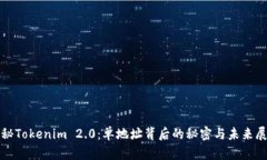 探秘Tokenim 2.0：单地址背后的秘密与未来展望