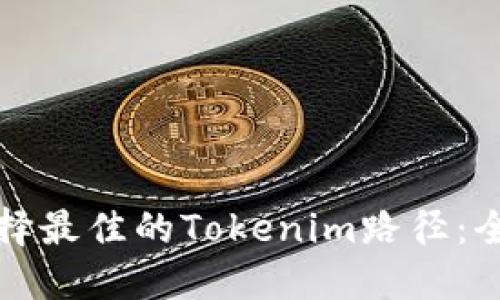 如何选择最佳的Tokenim路径：全面指南