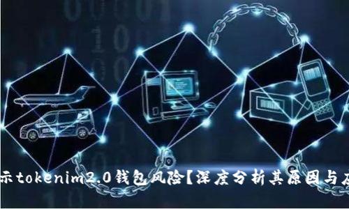 手机提示tokenim2.0钱包风险？深度分析其原因与应对方法