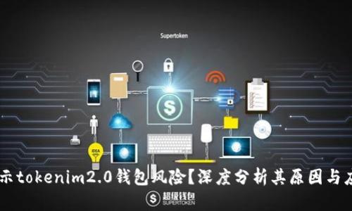 手机提示tokenim2.0钱包风险？深度分析其原因与应对方法