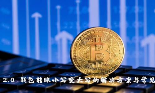 Tokenim 2.0 钱包转账小写变大写的解决方案与常见问题解析