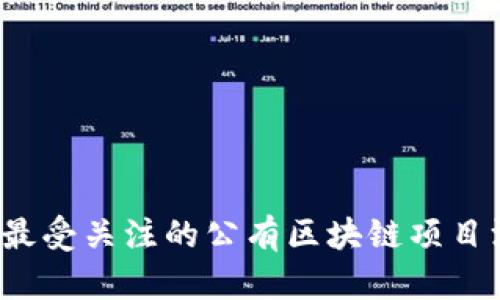 2023年最受关注的公有区块链项目深度解析