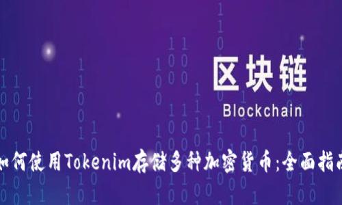 如何使用Tokenim存储多种加密货币：全面指南