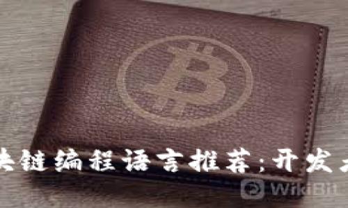 最好的区块链编程语言推荐：开发者必看指南