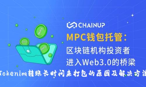 Tokenim转账长时间未打包的原因及解决方法