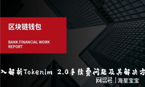 深入解析Tokenim 2.0手续费问题及其解决方案