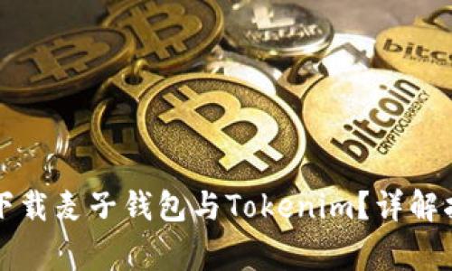 国内如何安全下载麦子钱包与Tokenim？详解指南与注意事项