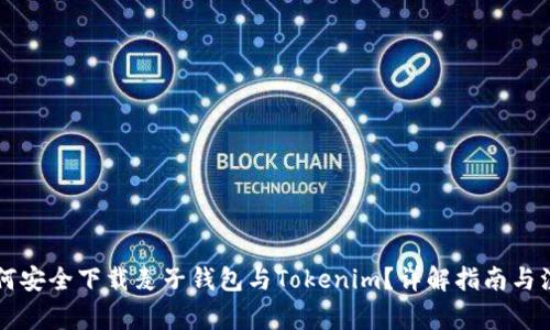 国内如何安全下载麦子钱包与Tokenim？详解指南与注意事项