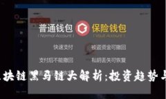 2023年区块链黑马链大解析：投资趋势与未来潜力