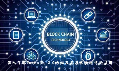 深入了解Tokenim 2.0地址及其在区块链中的应用