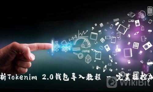 全面解析Tokenim 2.0钱包导入教程 - 完美操控加密资产