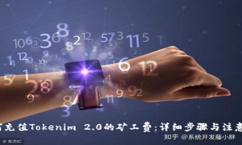  如何充值Tokenim 2.0的矿工费：详细步骤与注意事项