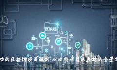 成功的区块链项目解析：从比特币到以太坊的全