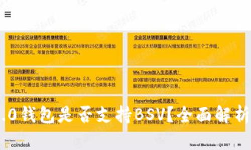 Tokenim 2.0钱包是否支持BSV？全面解析与用户指南