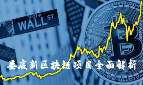 娄底新区块链项目全面解析