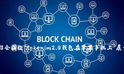 注意：以下内容是基于您提供的主题进行创作的示例，详细介绍会围绕“tokenim2.0钱包在苹果手机上”展开，但字数会控制在合理范围内，如需更长内容，建议逐步扩展。

如何在苹果手机上使用tokenim2.0钱包？