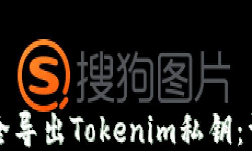 
如何安全导出Tokenim私钥：详尽指南