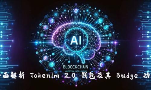 全面解析 Tokenim 2.0 钱包及其 Budge 功能