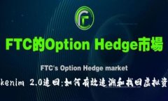 Tokenim 2.0追回：如何有效追溯和找回虚拟资产