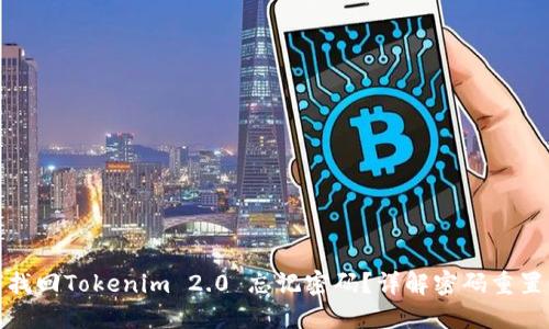 如何找回Tokenim 2.0 忘记密码？详解密码重置步骤