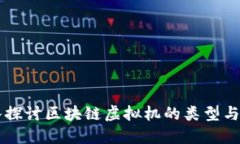 深入探讨区块链虚拟机的类型与应用