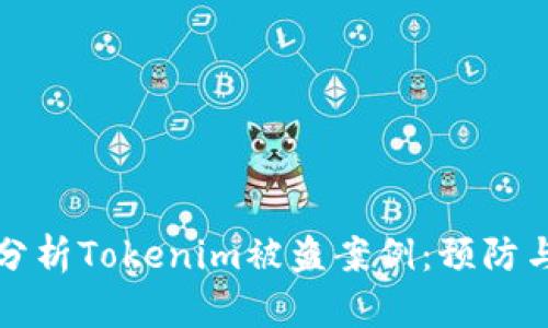 深入分析Tokenim被盗案例：预防与教训