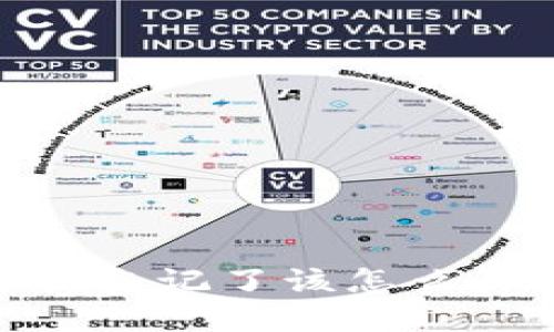 Tokenim 2.0 钱包密钥忘记了该怎么办？全面指南与解决方案