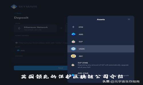 英国领先的保护区块链公司介绍