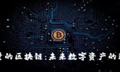 无限容量的区块链：未来数字资产的理想选择