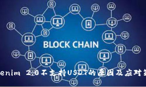 Tokenim 2.0不支持USDT的原因及应对策略