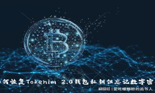 如何恢复Tokenim 2.0钱包私钥但忘记数字密码
