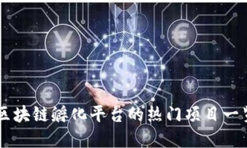 区块链孵化平台的热门项目一览