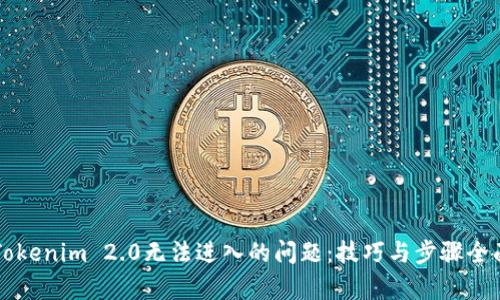 解决Tokenim 2.0无法进入的问题：技巧与步骤全面解析