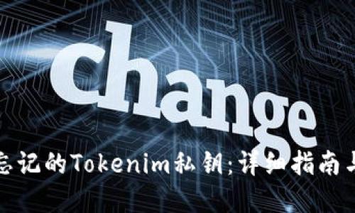 如何找回忘记的Tokenim私钥：详细指南与解决方案