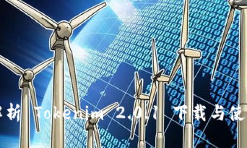 全面解析 Tokenim 2.0.1 下载与使用指南