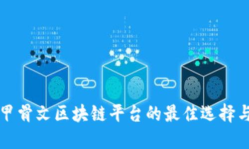 探索甲骨文区块链平台的最佳选择与应用