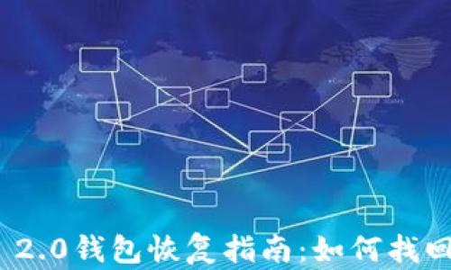 
Tokenim 2.0钱包恢复指南：如何找回丢失的币