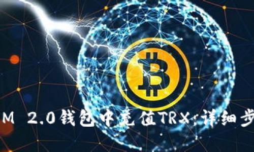 如何在TokenIM 2.0钱包中充值TRX：详细步骤与实用技巧