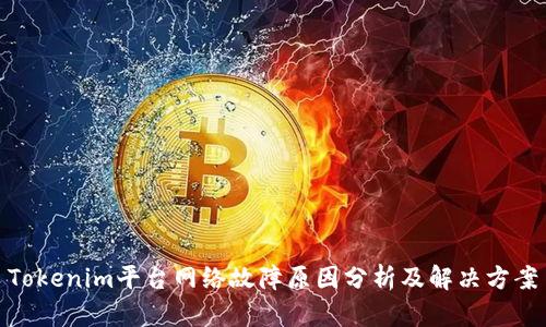 Tokenim平台网络故障原因分析及解决方案