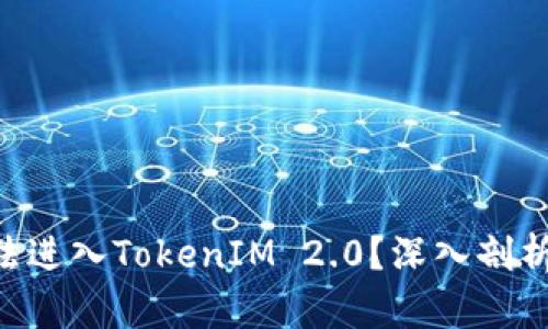 ETC为何无法进入TokenIM 2.0？深入剖析与解决方案