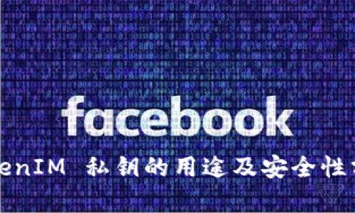 TokenIM 私钥的用途及安全性分析