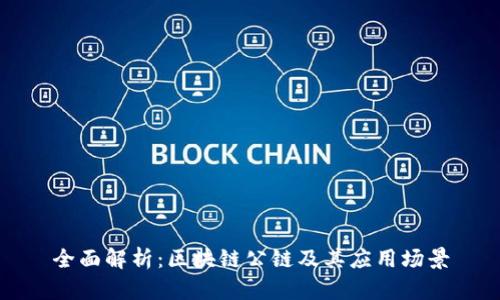 全面解析：区块链公链及其应用场景