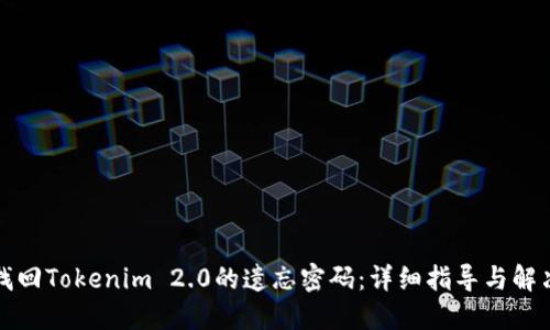 如何找回Tokenim 2.0的遗忘密码：详细指导与解决方案