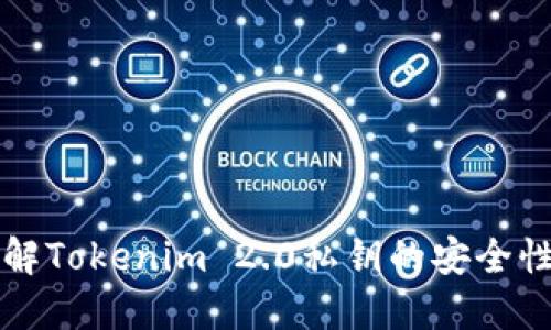 深入了解Tokenim 2.0私钥的安全性与管理