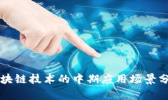 区块链技术的中期应用场景分析