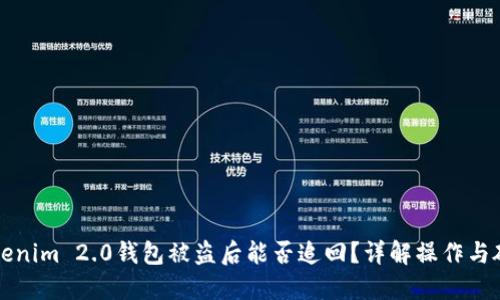 国内Tokenim 2.0钱包被盗后能否追回？详解操作与破解理论
