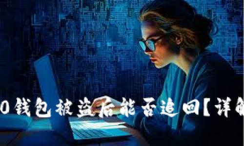 国内Tokenim 2.0钱包被盗后能否追回？详解操作与破解理论